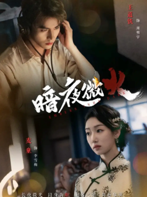 暗夜微火（80集）