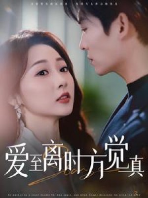爱至离时方觉真（101集）