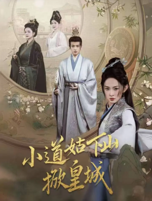 小道姑下山掀皇城（84集）