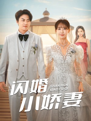 闪婚小娇妻（102集）