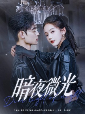 暗夜微光（86集）