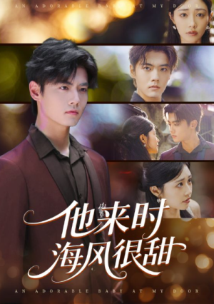他来时海风很甜（60集）