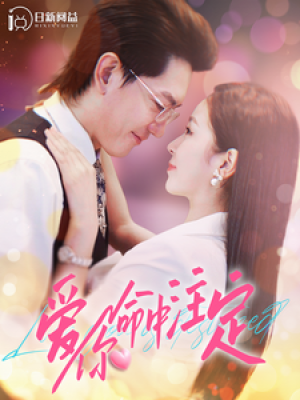 爱你命中注定（99集）