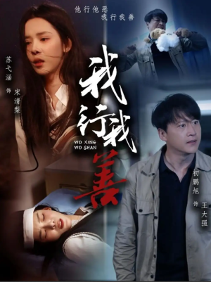 我行我善（53集）