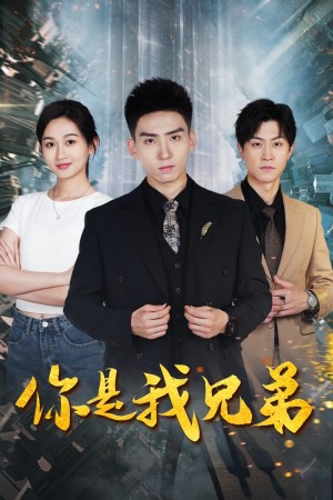 你是我兄弟(69集)