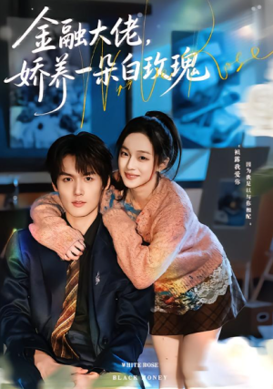 金融大佬娇养一朵白玫瑰（70集）