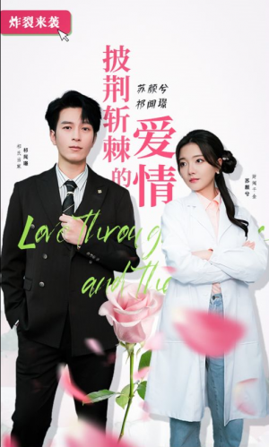 《披荆斩棘的爱情》(90集)