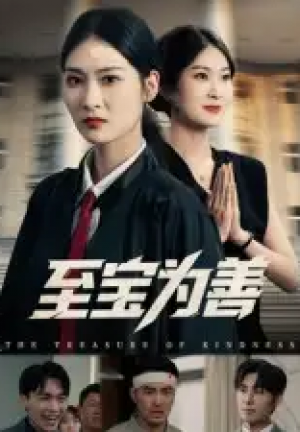 至宝为善(60集)