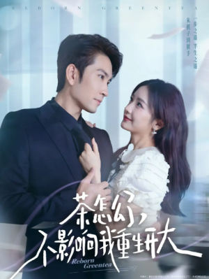 茶怎么了不影响我重生开大（80集）