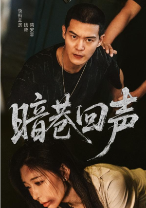 暗巷回声（100集）