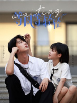 等风等轻轻(24集)