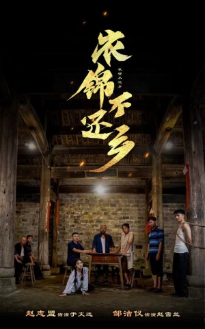 衣锦不还乡(69集)