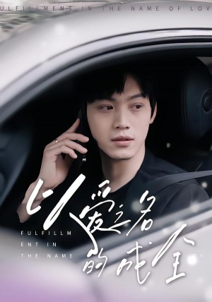 以爱之名的成全（14集）