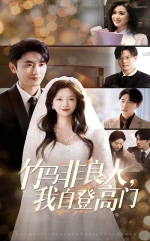 竹马非良人我自登高门（竹马非良人，我自登高门）（37集）