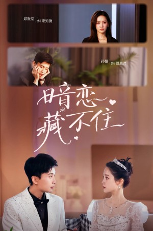 暗恋藏不住（25集）