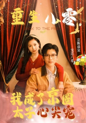 重生八零我成了京圈太子心尖宠（51集）