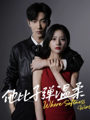 他比子弹温柔（68集）