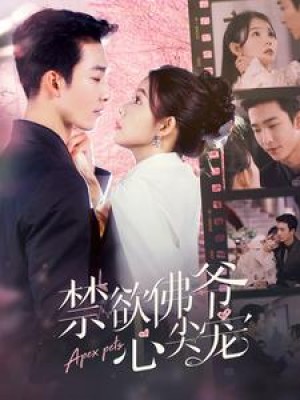 禁欲佛爷心尖宠（101集）