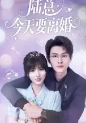 陆总今天要离婚(81集)