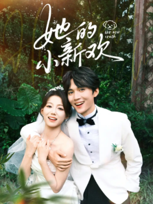 她的小新欢（84集）