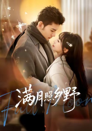 满月照乡野（70集）