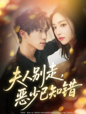夫人别走恶少已知错（60集）