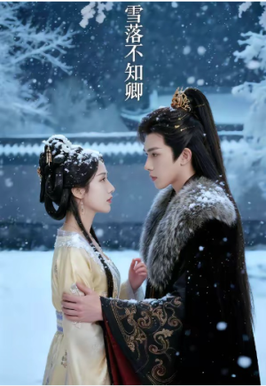 雪落不知卿（62集）