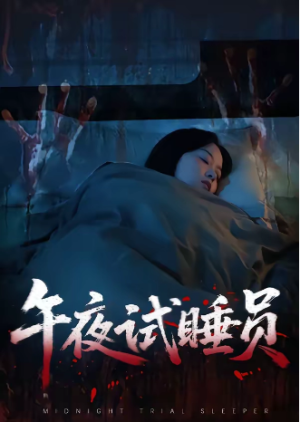 午夜试睡员（27集）