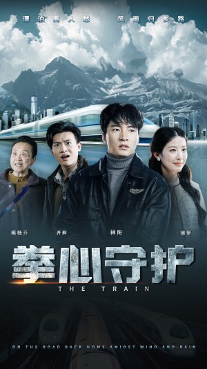 拳心守护（28集）