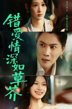 错爱情深如草芥（46集）