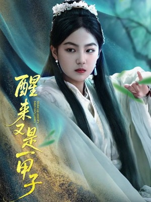 醒来又是一甲子（78集）