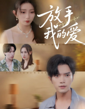 放手我的爱（47集）