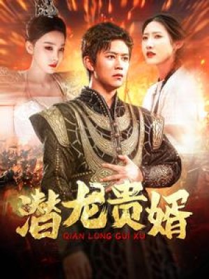 潜龙贵婿（89集）