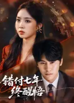 错付七年终醒悟（62集）
