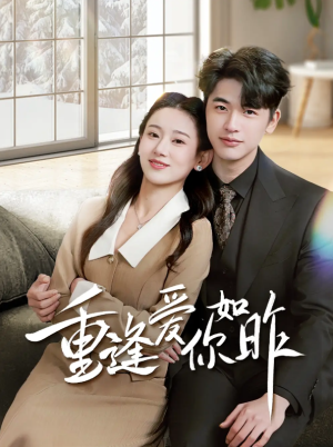 重逢爱你如昨（肆意偏爱）（69集）