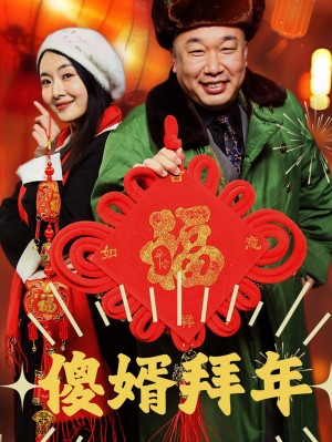 傻婿拜年（32集）