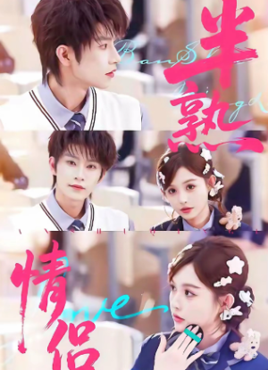 半熟情侣（85集）
