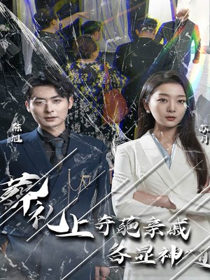 葬礼上奇葩亲戚各显神通(闻是无儿白发明)(30集)