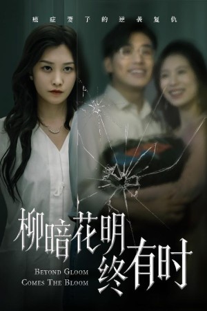 柳暗花明终有时（50集）