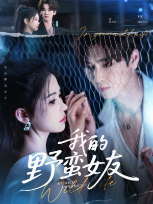 我的野蛮女友（80集）