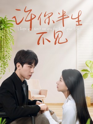 许你半生不见（51集）