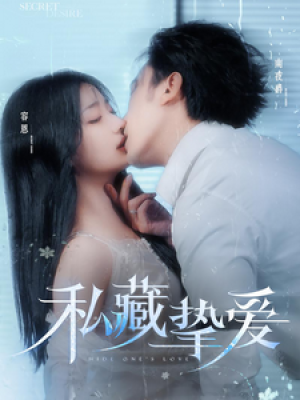 私藏挚爱（100集）