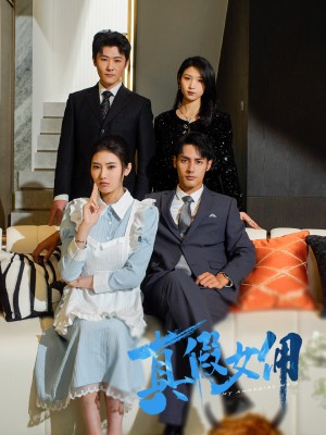 真假女佣（56集）