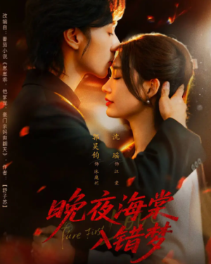 晚夜海棠入错梦（80集）