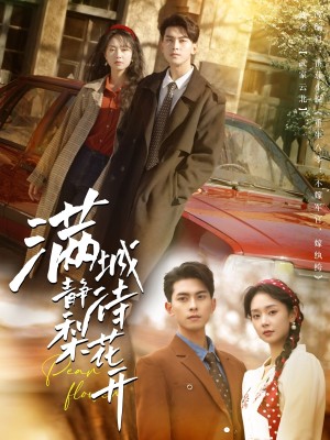 满城静待梨花开（100集）