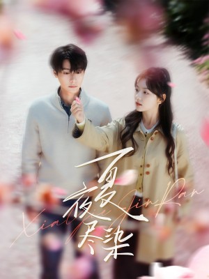 夏夜尽染（80集）