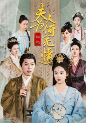 夫人为何如此无情（夫人为何如此决绝）（35集）