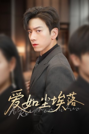 爱如尘埃落（71集）