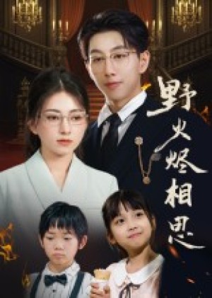 野火烬相思（61集）