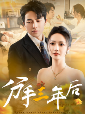 分手三年后（43集）